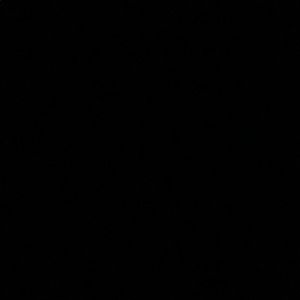 Meet your Posher, Shay